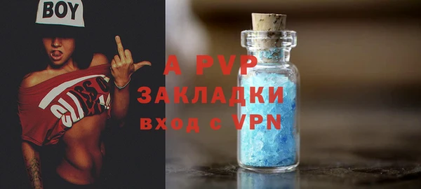 стаф Балахна
