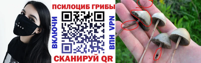 где продают   OMG   Галлюциногенные грибы ЛСД  Красновишерск 